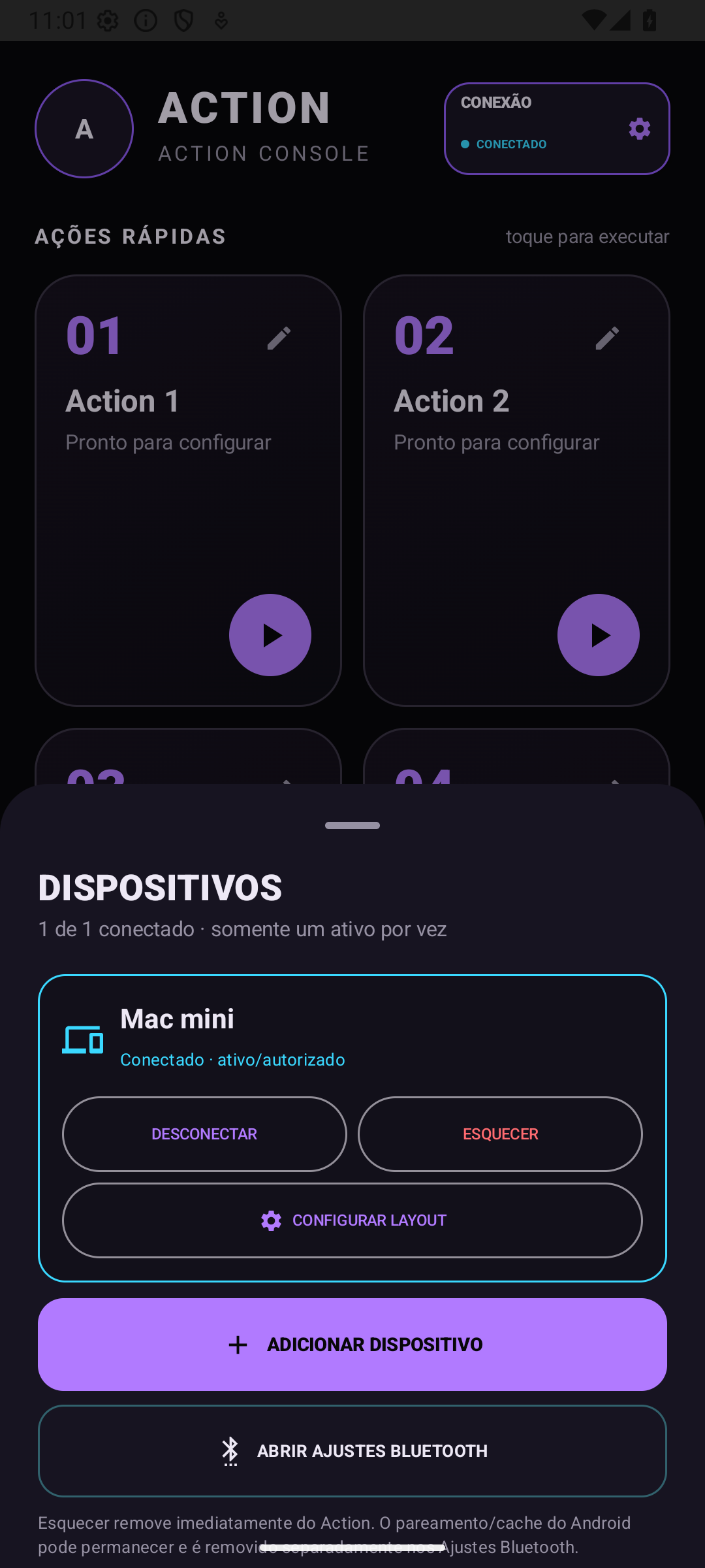 Captura real do Action em ambiente de teste — 1. Conecte seu computador